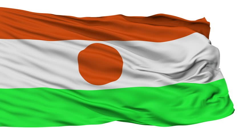 Niger flag