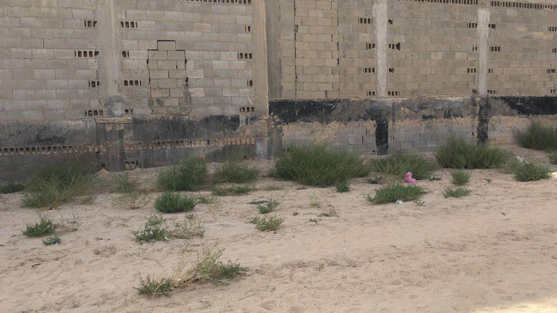 The location of the gruesome crime in the eastern Al-Ahsa governorate