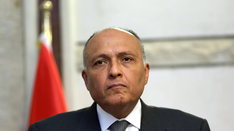 Egyptian Foreign Minister Sameh Shoukry.