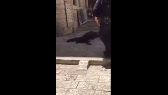 Palestinian shot dead by Zionist forces