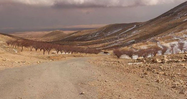 Arsal barrens