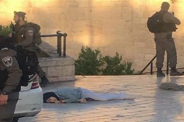 Palestinian girl martyred