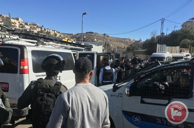 french citizen arrested