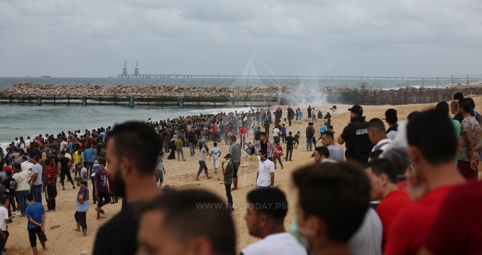 manar-06532490015390139128