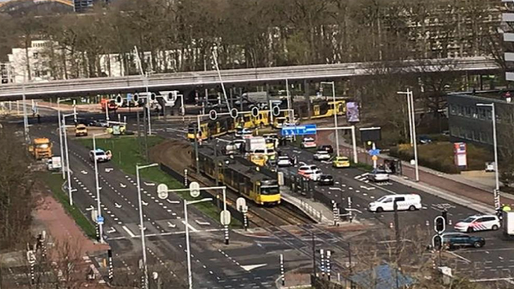 manar-06719620015529146041