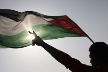 manar-09265480015379478834