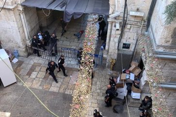 manar-08788610015658859065