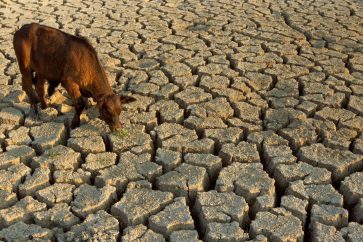 HydroLogic_Water_Stress