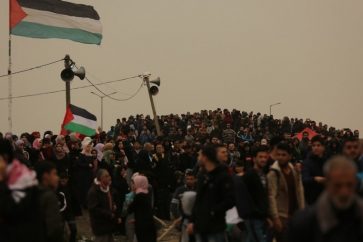 manar-08733760015636181133