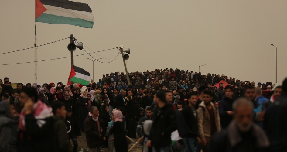 manar-08733760015636181133