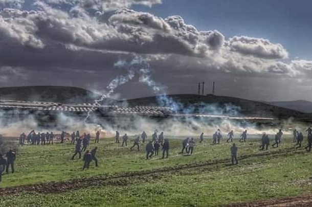 manar-01796390015804722862