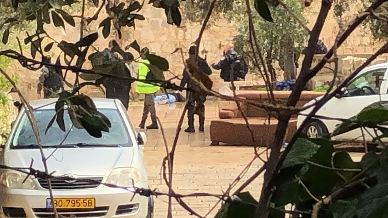 manar-09138210015823653495