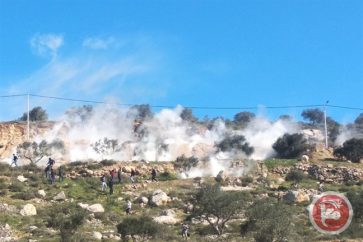 manar-08302270015828877133