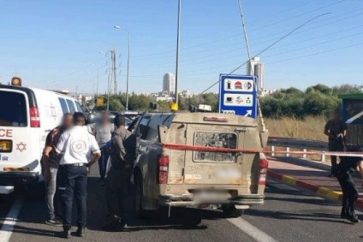 manar-09661030015984536246