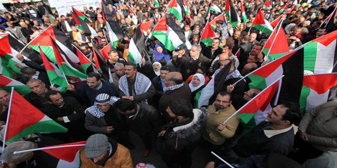 manar-039961400160016104210