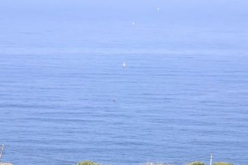 manar-087133900160683318810