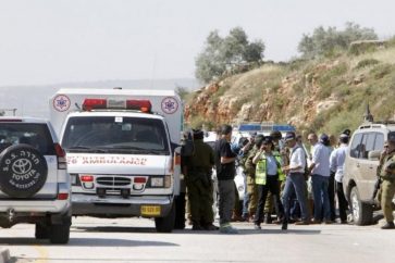 manar-03515420016178008618