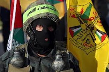 manar-08595770016242830433