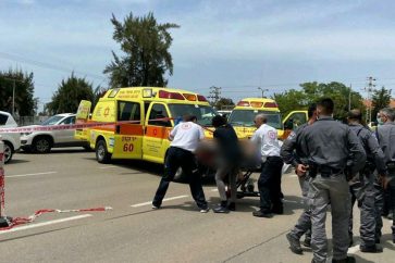 manar-06147370016251335719