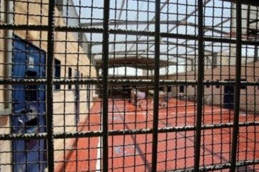 manar-08390390016278150625