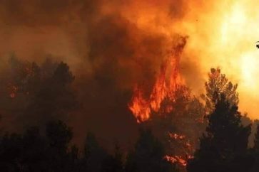 South Lebanon wildfires