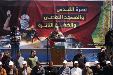 manar-01528170016500280309