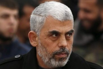 1396100515532581412893184