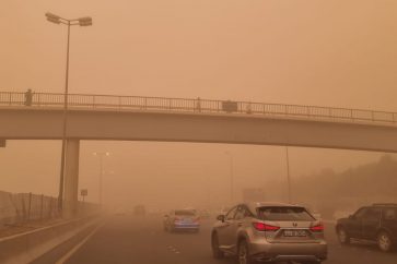 manar-09041270016533091035