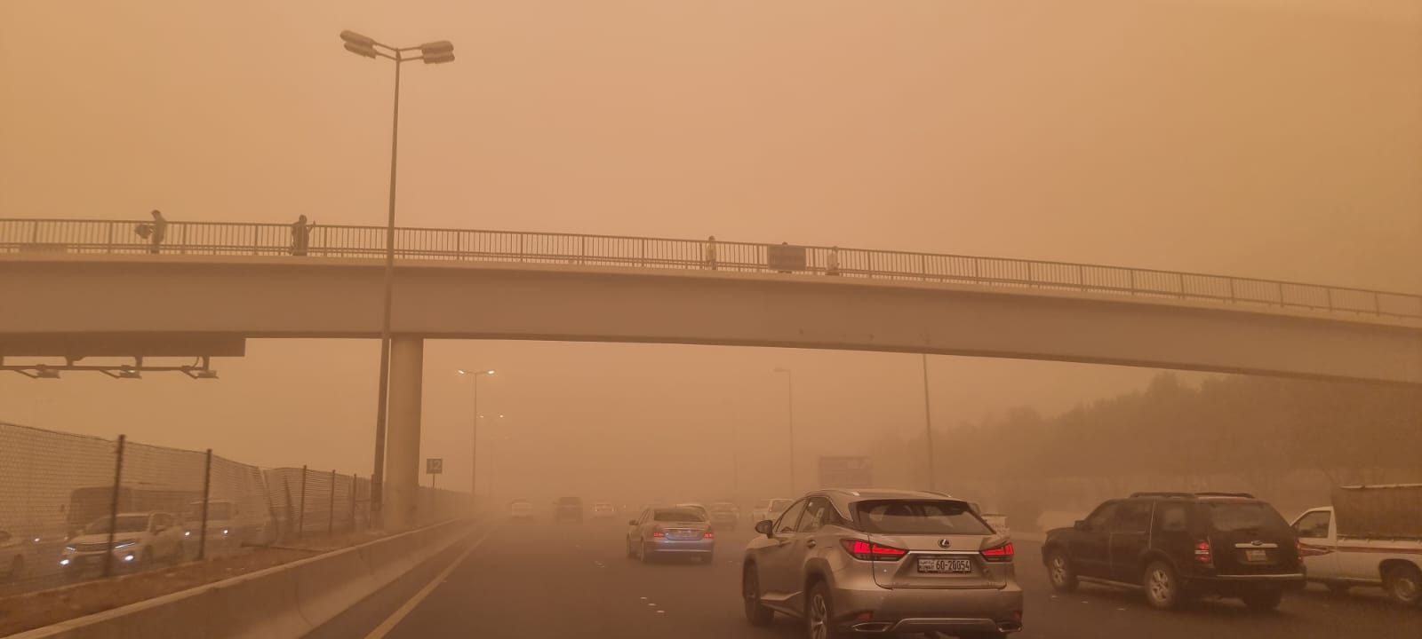 manar-09041270016533091035