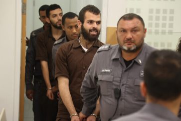 Elad operation attackers