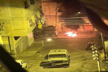 manar-035692900166667310010