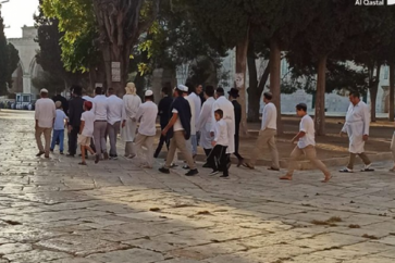 Israeli settlers storm Al-Aqsa