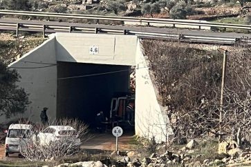 manar-02529670016737751281