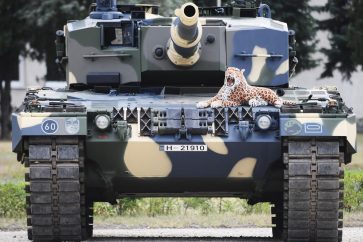 31f5f7ceb62337d4abaaee8697d62