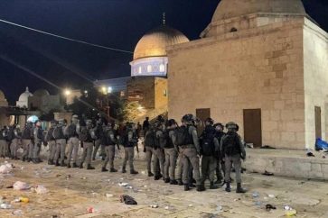 manar-09544170016807235796