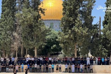 manar-04499650016869150297