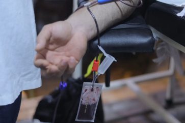 Blood drive Dahiyeh Ashura
