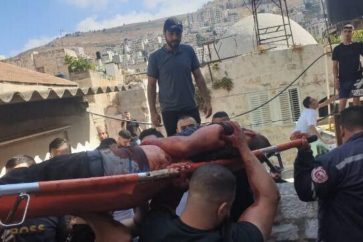 manar-08880590016887130407