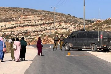 manar-07058120016907953062