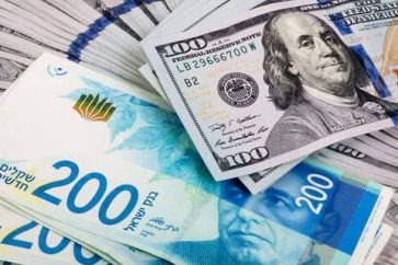 photo_5854926128765058933_x (1)