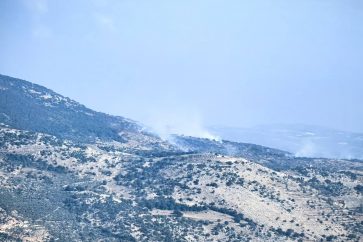 photo_5861812799586549535_y