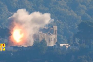 photo_6050933566977721987_y