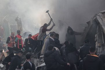 manar-08436200017026813186