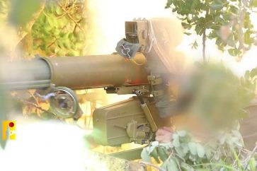 photo_5785254006807969518_y