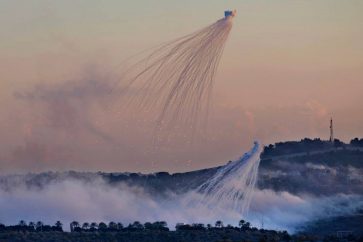 photo_6032972718120483797_y