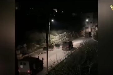 manar-09187670016725002266