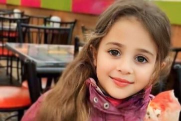 photo_5956066694415900713_y