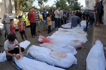 manar-00503790017095692288