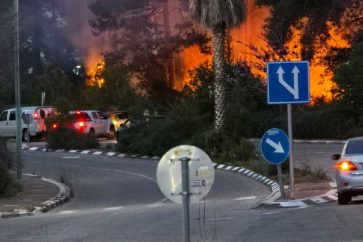 photo_5778582870330294375_y