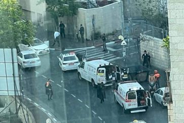 8f216865-bcaf-4452-99fe-66049fa1ca7a